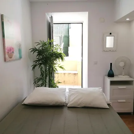 Flowers In Pop House Appartement *