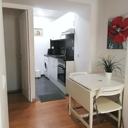 Flowers In Pop House Apartman