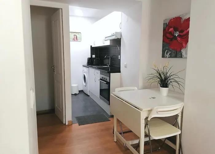 Flowers In Pop House Apartman